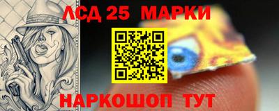 apvp Гатчина
