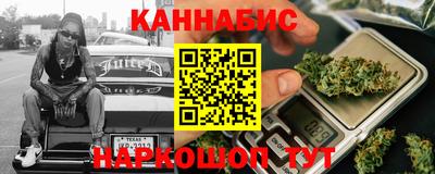 apvp Гатчина