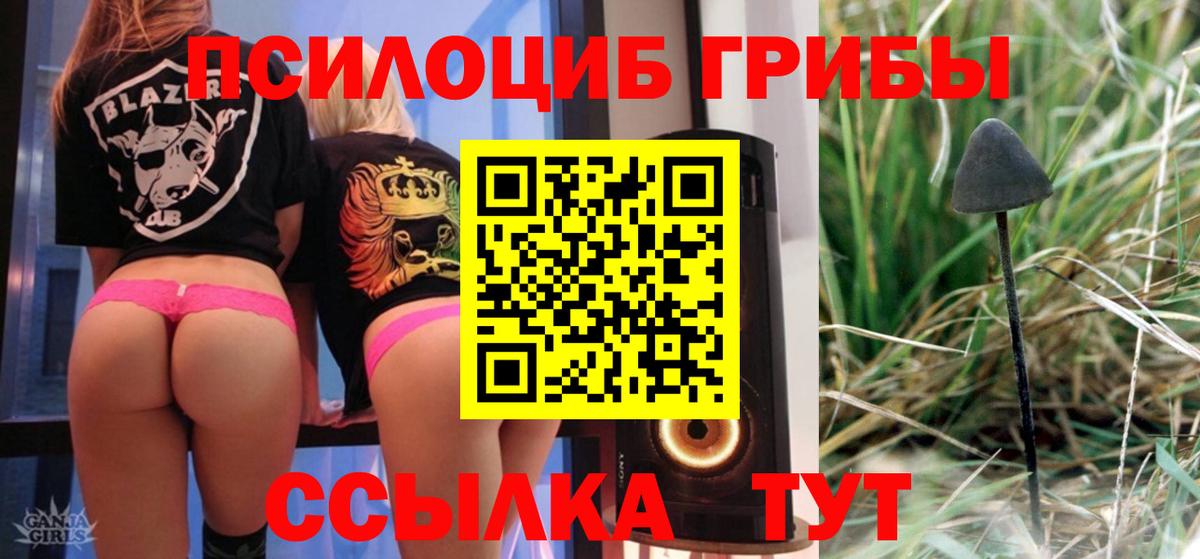 Оренбург  Псилоцибиновые грибы ЛСД  Вход с VPN  Галлюциногенные грибы Magic Shrooms 