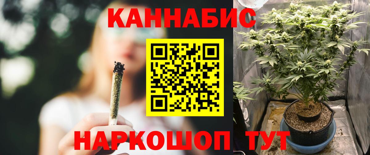 Бошки Шишки сатива  Марихуана конопля  Вход с VPN  Оренбург  Канабис Ganja 